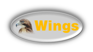 wings oval logo